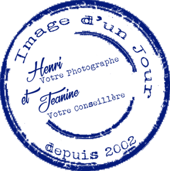 LOGO-ImageBLEU