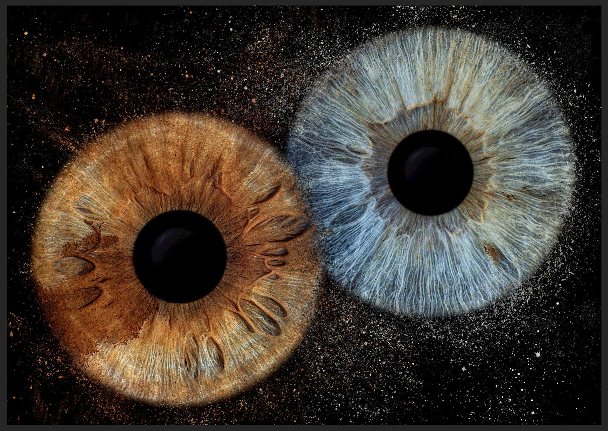 Iris photo Lambersart Photo iris Lille, Séance iris Lambersart, photo iris Lambersart