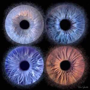 Photo iris Lille, Séance iris Lambersart, photo iris Lambersart