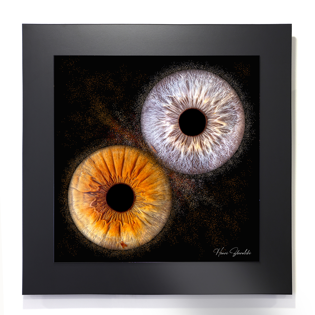 Tableau Iris Lambersart, Photo Iris Lambersart, Photo Iris Lille, tableau Iris Lille